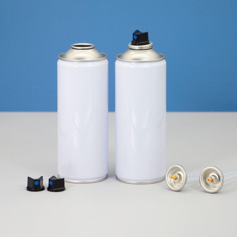 Aerosol paint can