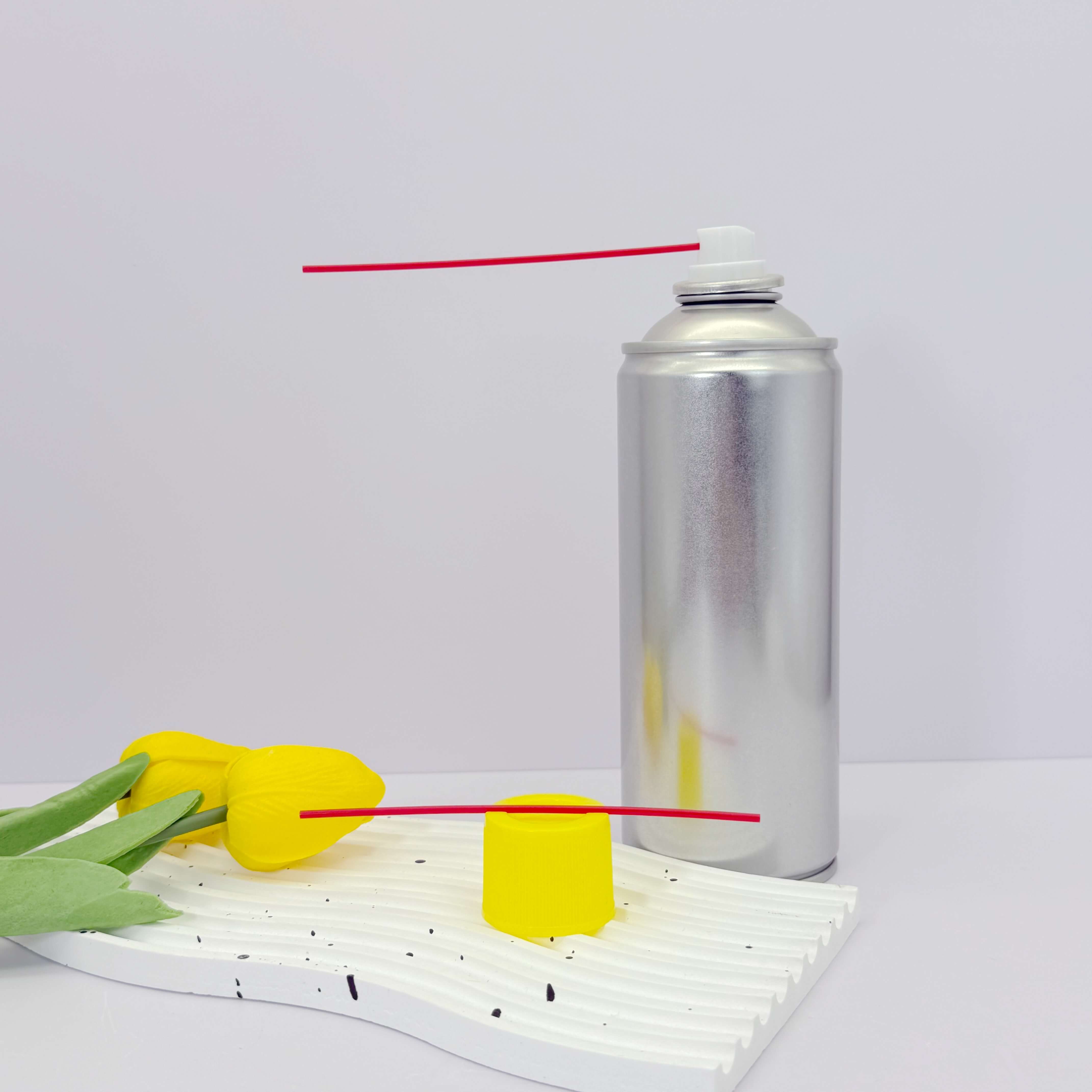 Auto beauty spray can